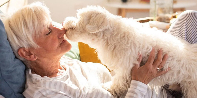 Seniors and the Healing Power of Pets